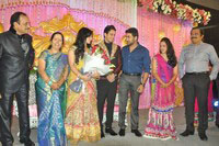 Bharath and Jeshly Wedding Reception Photos